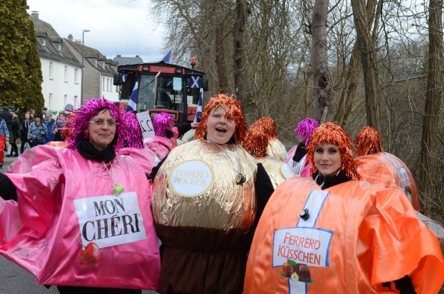 umzug simmern_140301_vb_029